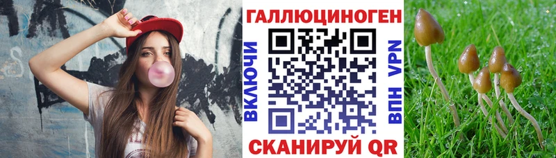 где продают Владивосток KRAKEN ONION Псилоцибиновые грибы MAGIC MUSHROOMS